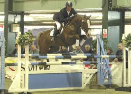 Eventing Horses For Sale